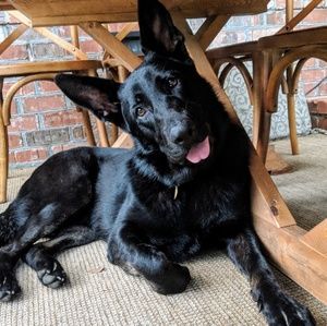 Meet your Posher, Joyce